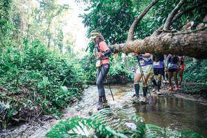 BIB: 
                            <button type="button" onclick="openModal(25464515)" class="btn btn-primary btn-sm float-right btn-popup" data-toggle="modal" data-target=".modal-high-quality">
                        <i class="fas fa-shopping-cart"></i> Add to Cart
                    </button>
                                            <button type="button" onclick="isThisMe(25464515, true)" class="btn btn-success btn-sm float-right btn-popup btn-isme hidden" data-toggle="tooltip" data-placement="bottom" title="นี่คือรูปของคุณใช่ไหม คลิกที่นี่เพื่อเอาเข้าอัลบั้ม">
                        <i class="fas fa-plus"></i> Add to album
                    </button>
                    <button type="button" onclick="isThisMe(25464515, false)" class="btn btn-warning btn-sm float-right btn-popup btn-isnotme hidden">
                        <i class="fas fa-ban"></i> Remove from album
                    </button>